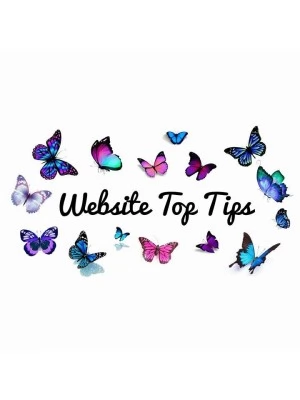 Website Search Tips